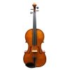 Ute Zahn Viola 2017 - 16 inch length of back