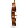 Ute Zahn Viola 2017 - 16 inch length of back