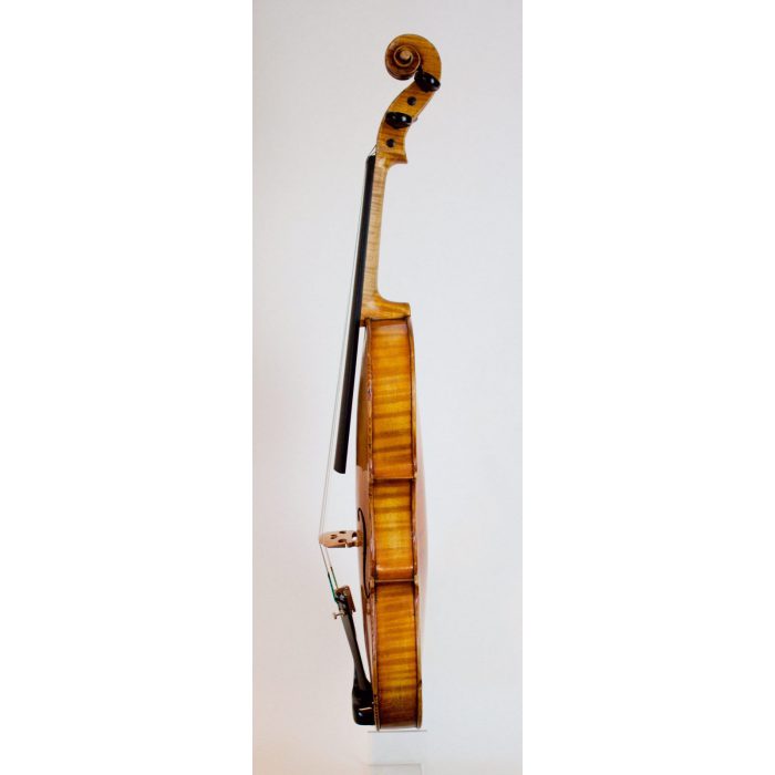 A German Violin Unlabeled #311