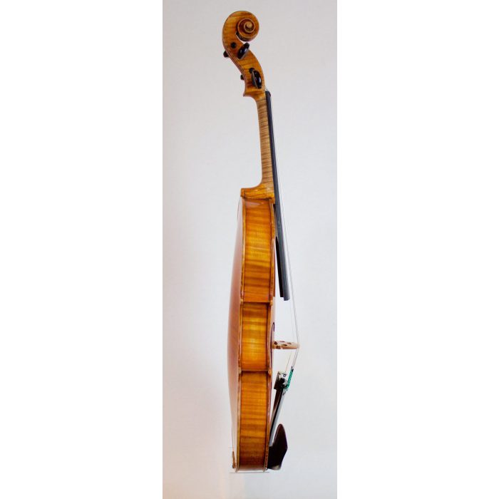 A German Violin Unlabeled #311