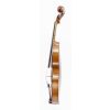 Nicolas Bertholini 7/8 Violin 1880 - Dolce Violins