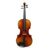 Ernst Heinrich Roth Violin - Bubenreuth 1960 - Dolce Violins