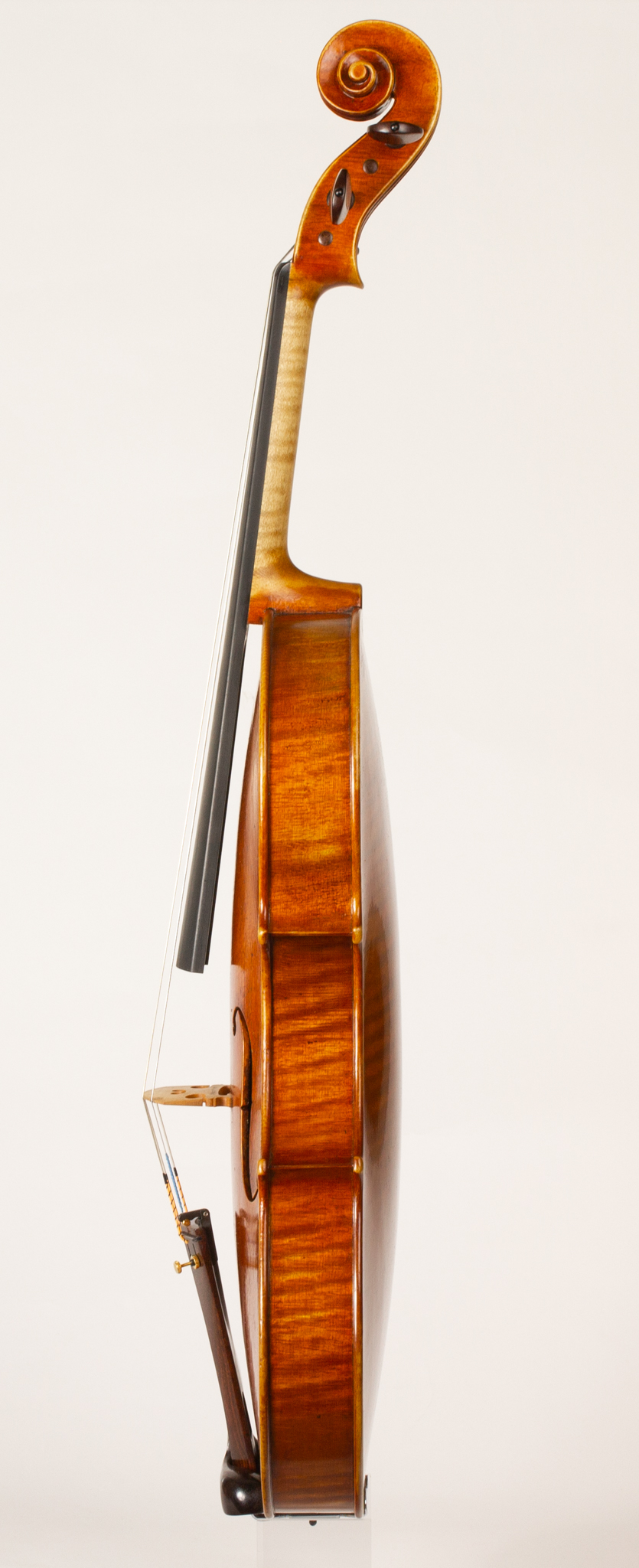 Thomas Oliver Croen Viola - 2019 - Dolce Violins