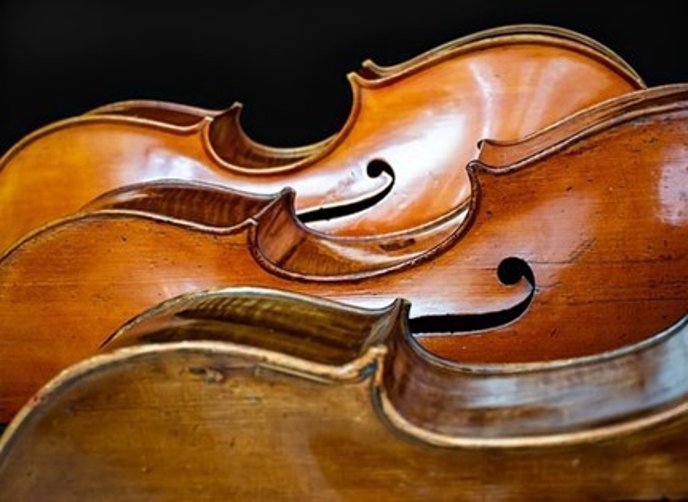 Eastman Cello