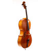 paul-hart-cello-1983-4