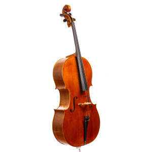 Frederik Bethke Cello - Minneapolis 2019