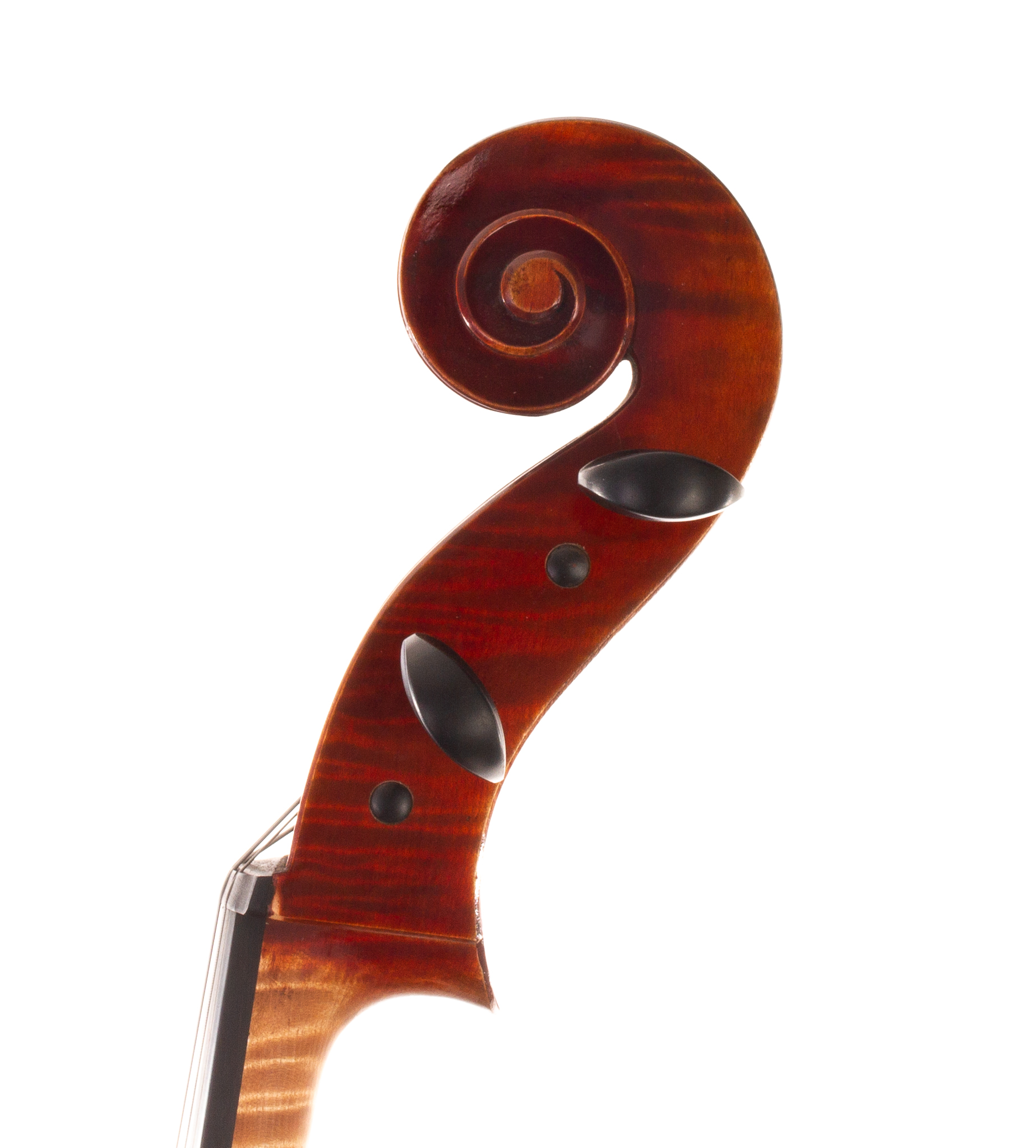 Genovese Cello Ruggieri Model 2022 Dolce Violins