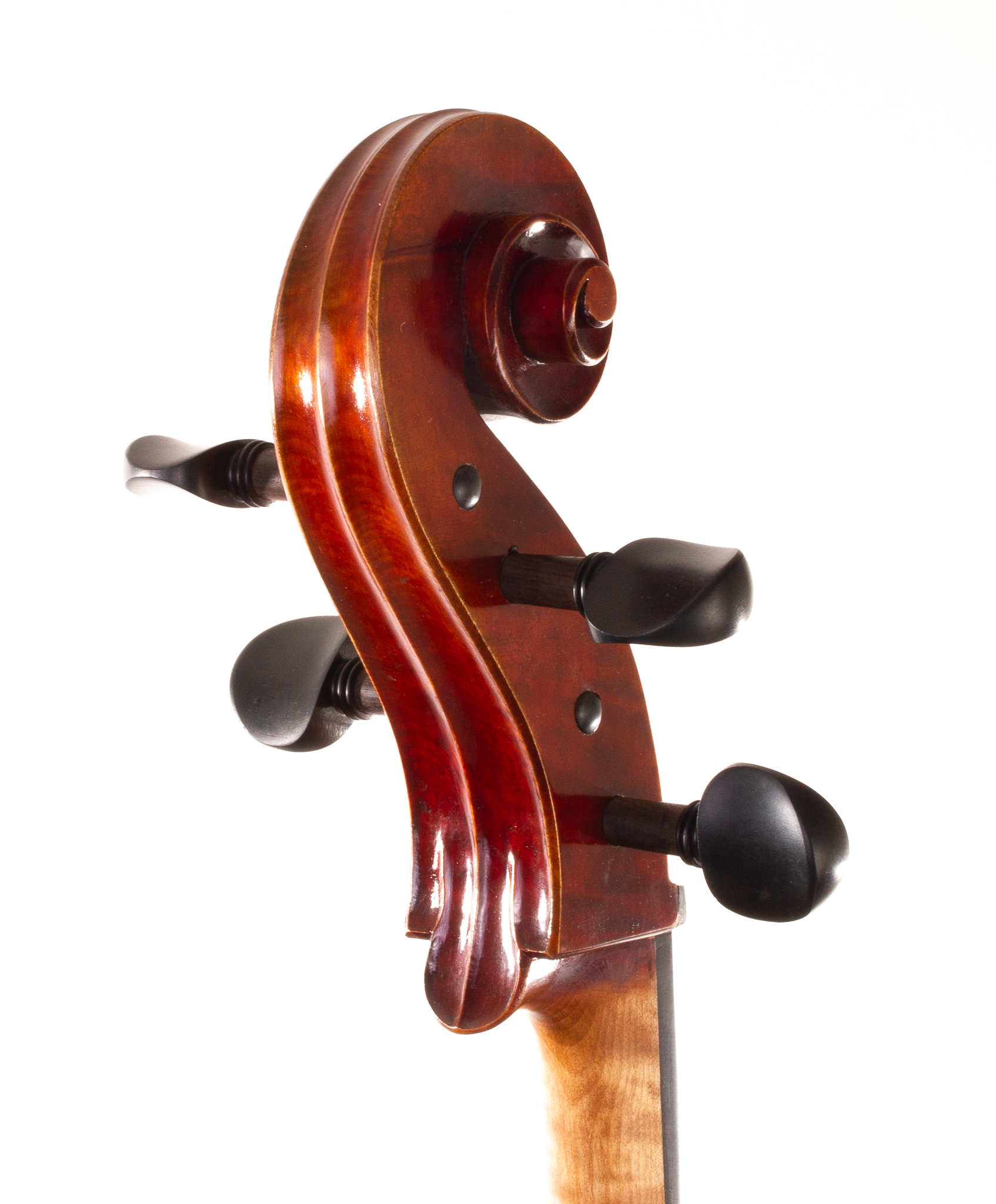 Genovese Cello Ruggieri Model 2022 Dolce Violins