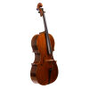 Daniel G. Arlig Cello 2022