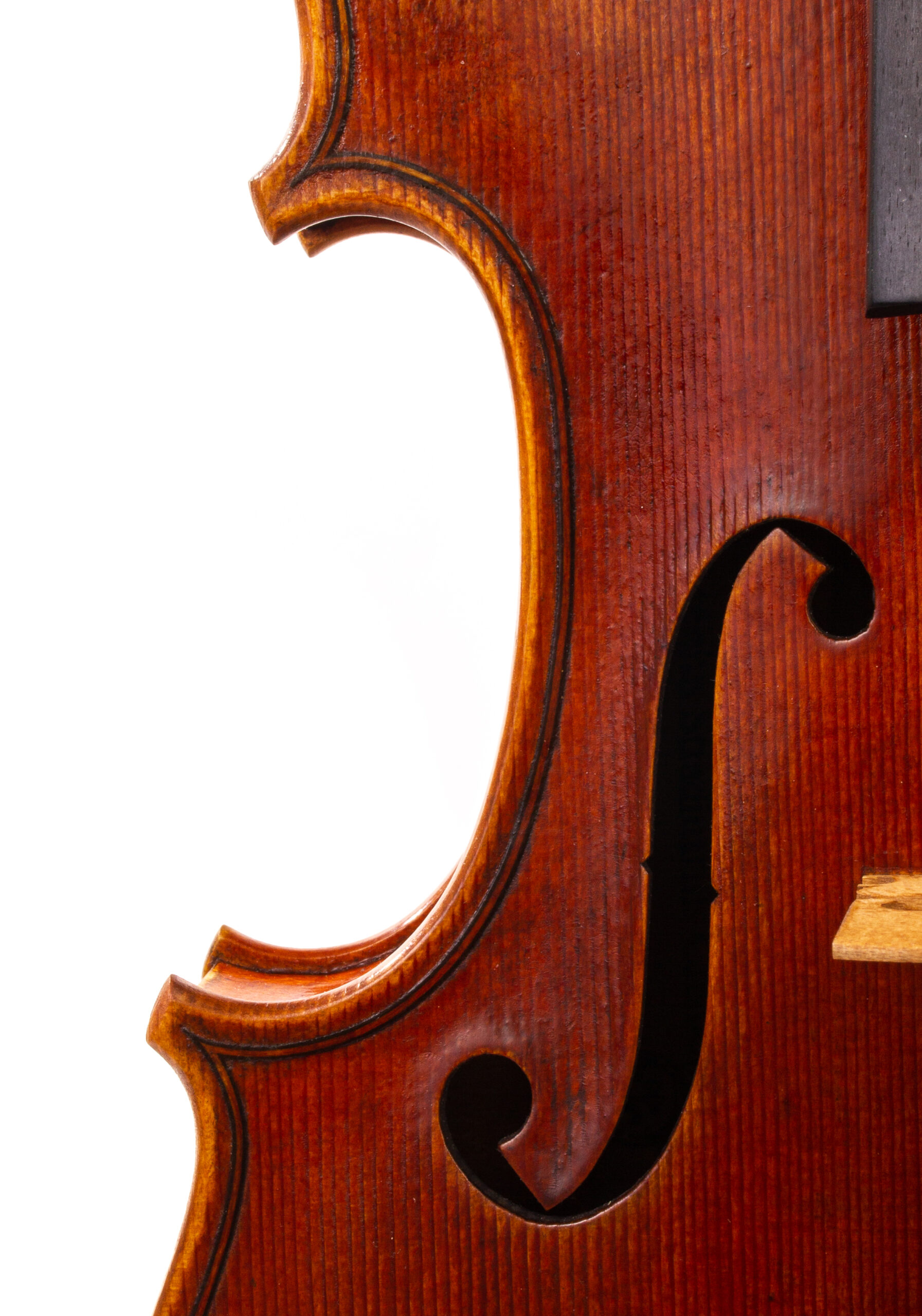 David J. Violin Albuquerque 2022 Dolce Violins