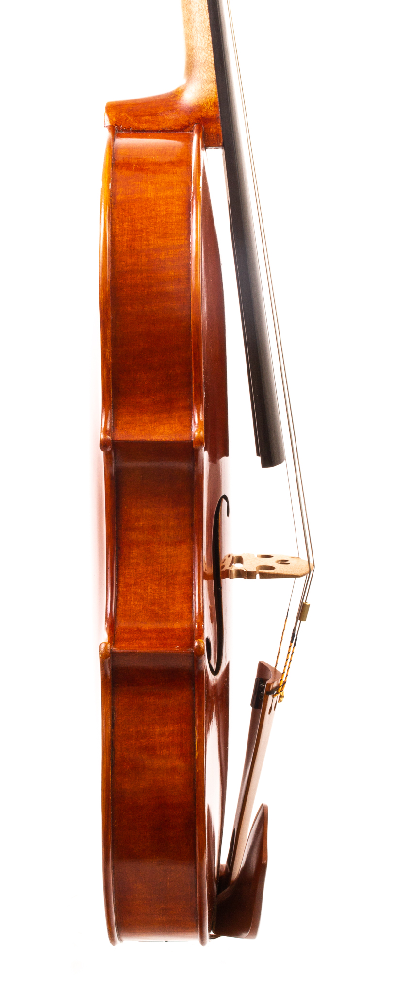 Larry-Bowers-Viola-2021-09