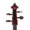 Paul-Hart-Cello-#390-02