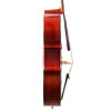 Paul-Hart-Cello-#390-11