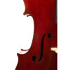 Paul-Hart-Cello-#390-13