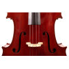 Paul-Hart-Cello-#390-14