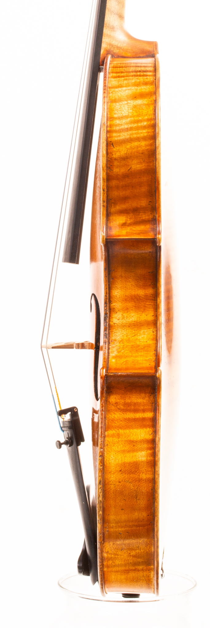 Georges Mougenot Violin - Bruxelles 1897-07