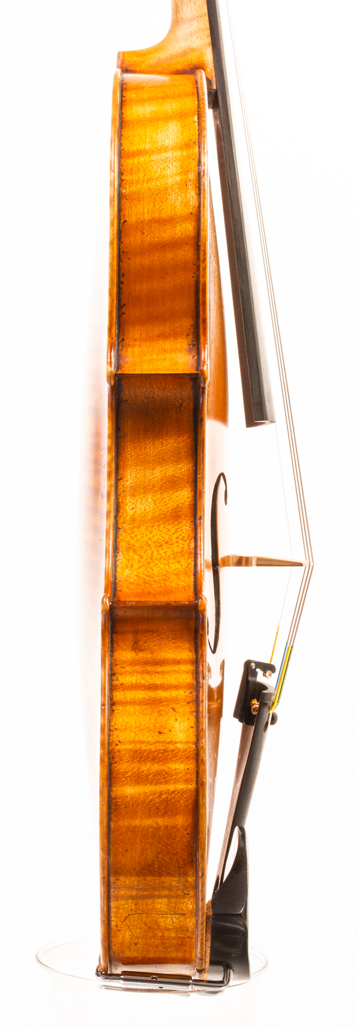 Georges Mougenot Violin - Bruxelles 1897-08