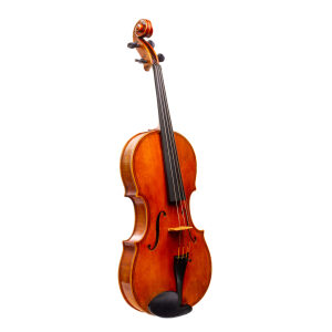 B. Skarstad Viola - Pleasantville 1979