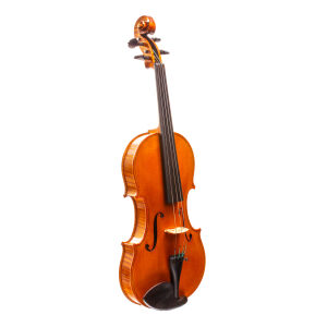 Zachary T Taylor Violin - 2014