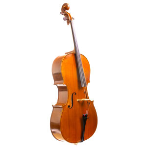 Alain Moinier Cello - Mirecourt circa 1995