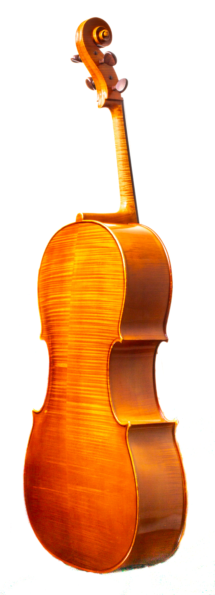 フレンチ Alain Moinier Mirecourt バイオリン Alain Moinier Cello - Mirecourt circa 1995 | Dolce Violins