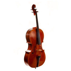 Polstein and White Cello - Boston 2011
